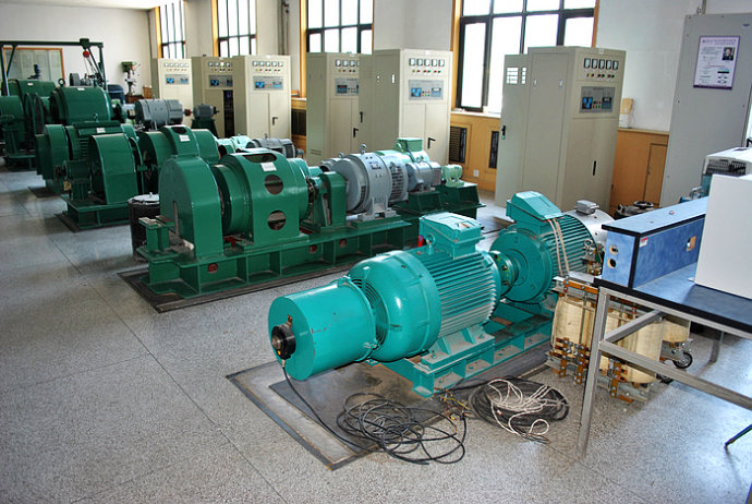 潭牛镇某热电厂使用我厂的YKK高压电机提供动力
